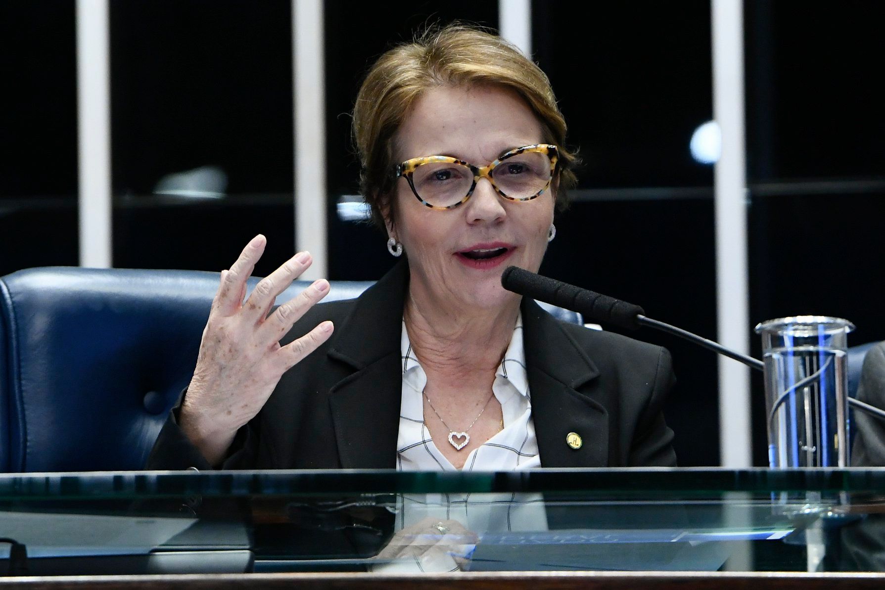 Ministra da Agricultura diz que pode importar arroz dos EUA e da Tailândia
