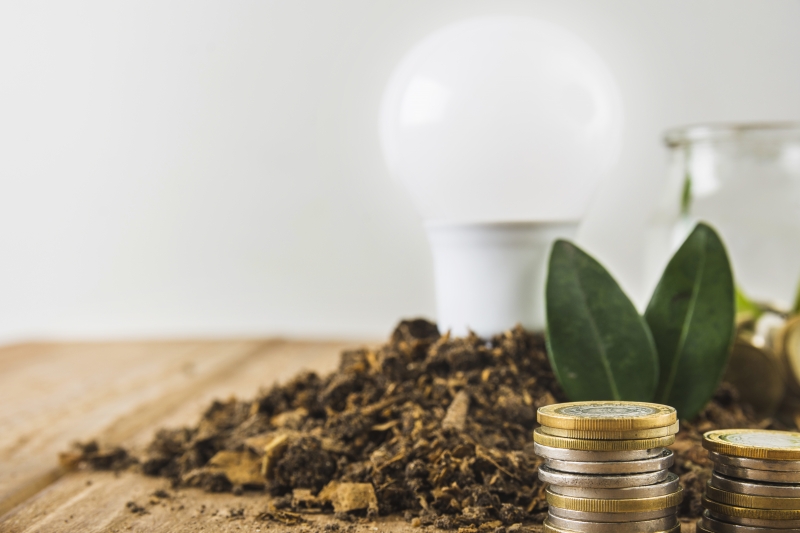 ESG: a proliferação de padrões de sustentabilidade gera custos