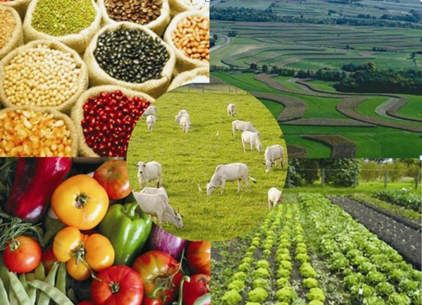 Recorde de US$ 10 bi nas exportações turbina expansão do agronegócio