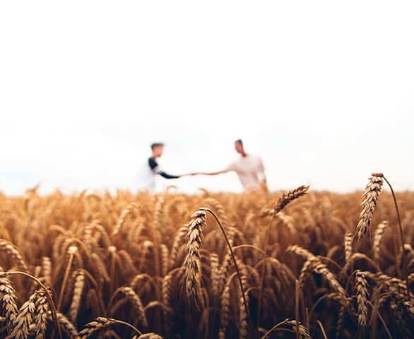 Fundos geridos pelo BTG Pactual investem no agronegócio