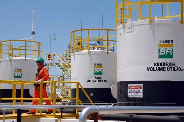 BR (BRDT3) prevê R$ 1,8 bi em dividendos; Tegma (TGMA3) propõe pagamento