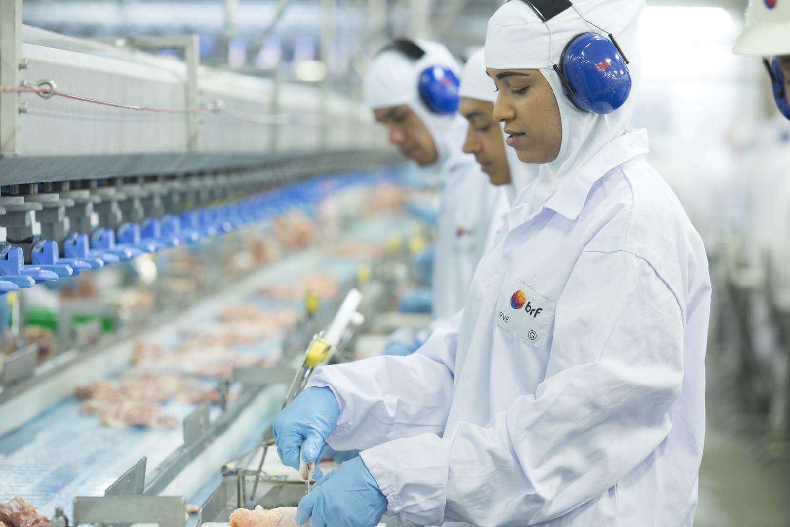 BRF (BRFS3) tem mudança acionária relevante; Ômega (OMGE3) aumenta capital