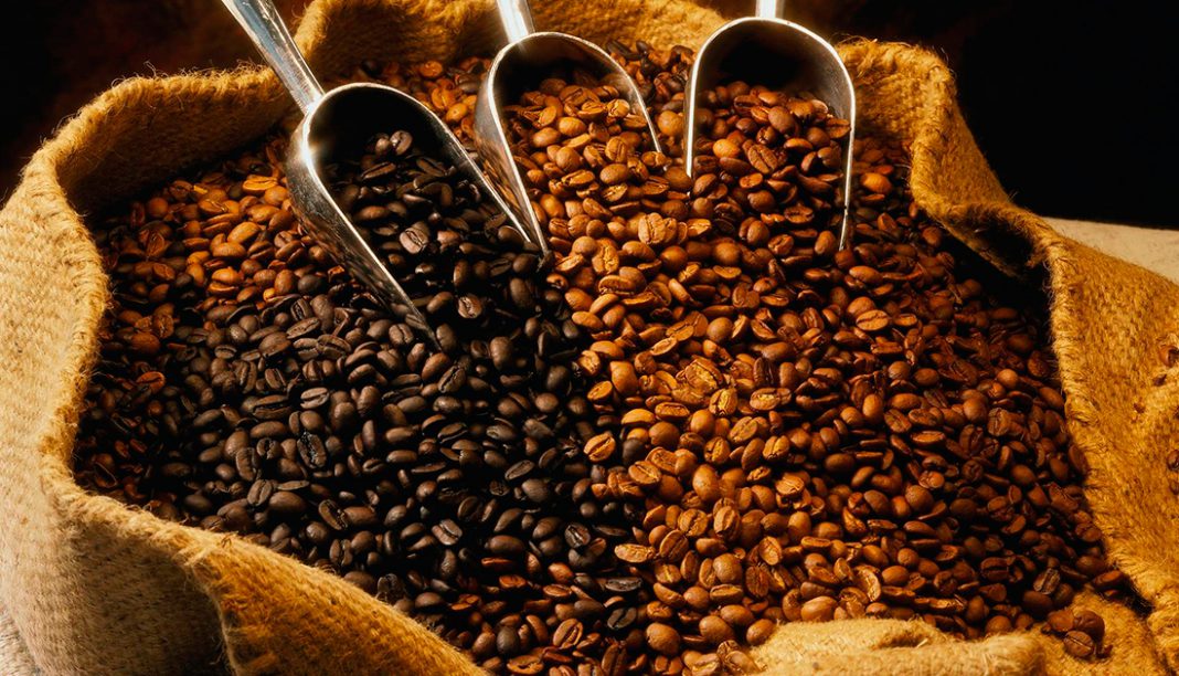 Produção de café no Brasil deve cair 22,45% na safra 2021/22