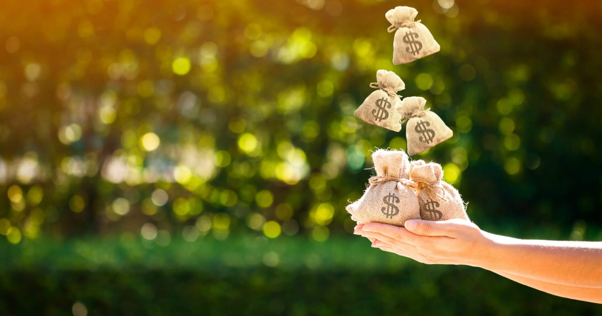 Previdência: resgate total ou renda mensal, como escolher?