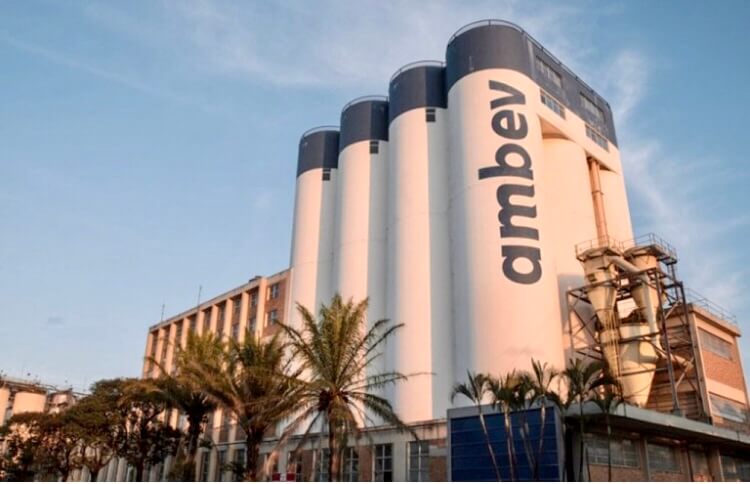 Ambev (ABEV3): saiba mais sobre a maior cervejaria da América Latina
