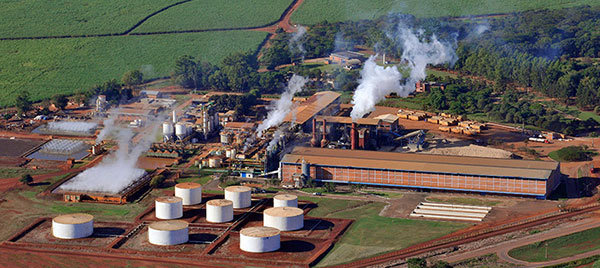 Jalles Machado (JALL3) tem alta de 122% no lucro da safra 2021/2020