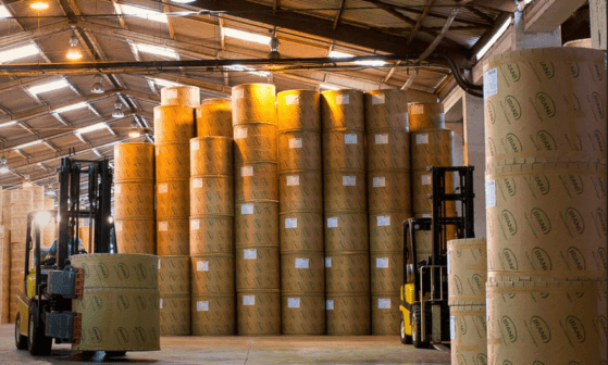 Copel (CPLE6) e Irani (RANI4) aprovam pagamento de dividendos