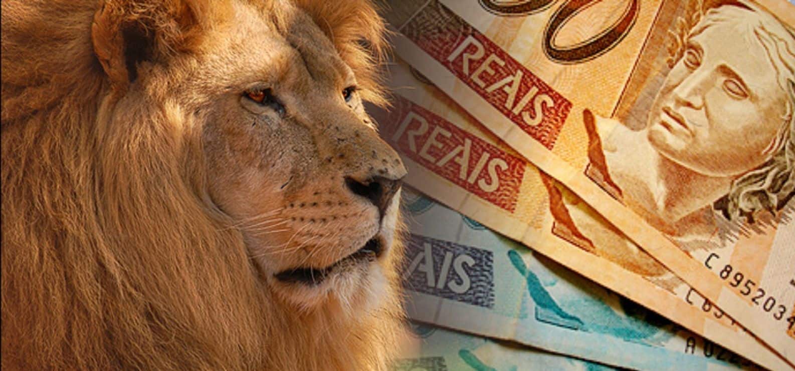 Imposto de Renda 2021: como declarar investimentos em ações