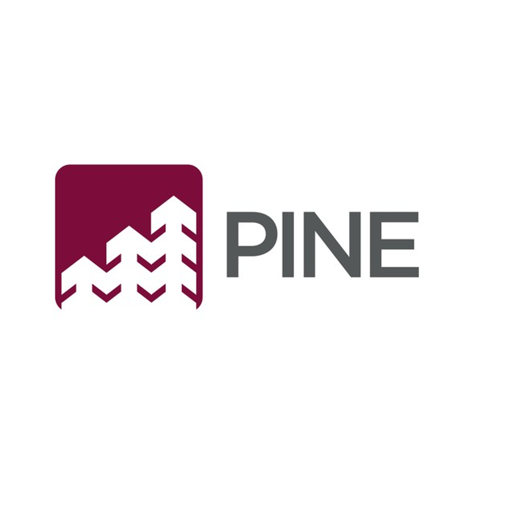 Banco Pine (PINE4) reverte prejuízo e lucra R$ 0,5 milhão no 1TRI21