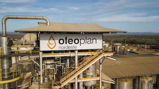 Oleoplan aposta em IPO para crescer no segmento de energias renováveis