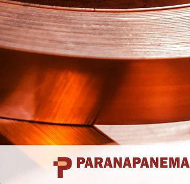 Paranapanema (PMAM3) tem prejuízo menor no balanço do 1TRI21
