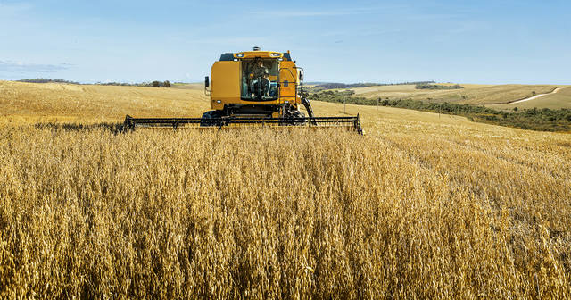 IBGE reduz previsão da safra para 256,1 milhões de toneladas em 2021