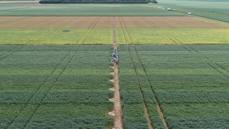 SLC Agrícola (SLCE3) lucra 2,4 vezes a mais no 1TRI21