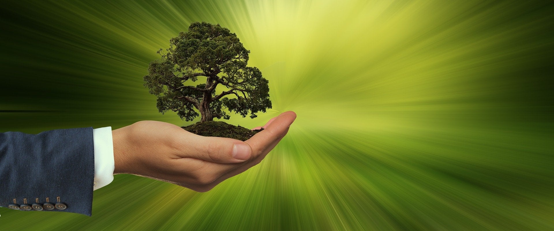 Qual o cenário do ESG hoje no Brasil? Saiba mais aqui