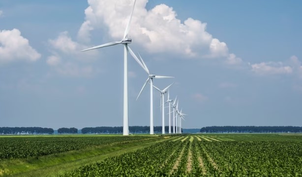 Serena Energia (SRNA3), ex-Omega, tem alta de 6% no lucro do 4TRI23