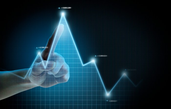 Imagem carteira de dividendos