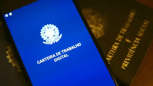 taxa de desocupação de novembro