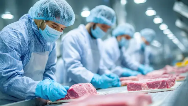 Setor de proteínas: fábrica de processamento de carne